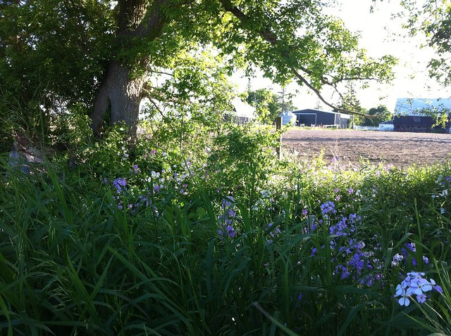 Marl creek