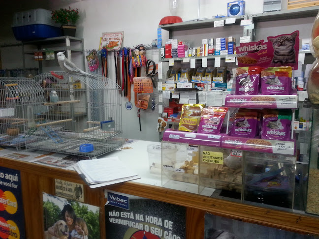 Zooclin Aviário e Consultório Veterinário - Curitiba