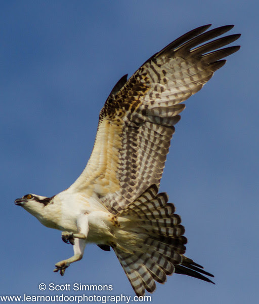 Photo & Video Sharing by SmugMug Photo & Video Sharing by SmugMug
