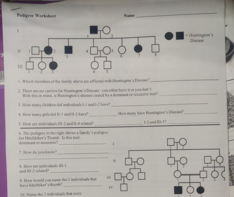 Answer Key Pedigree Worksheet - Pedigree Worksheet Answer Key Dominance