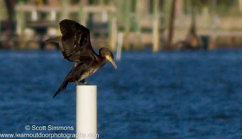 Port Orange Causeway Park Port Orange Causeway Park