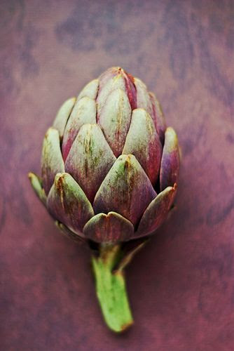 http://www.pinterest.com/pin/479985272757621538/ food art photography green and purple | vegetable: artichoke . Gemüse: Artischocke . légume: artichaud | Photo: Susan Wolfe @ flickr |