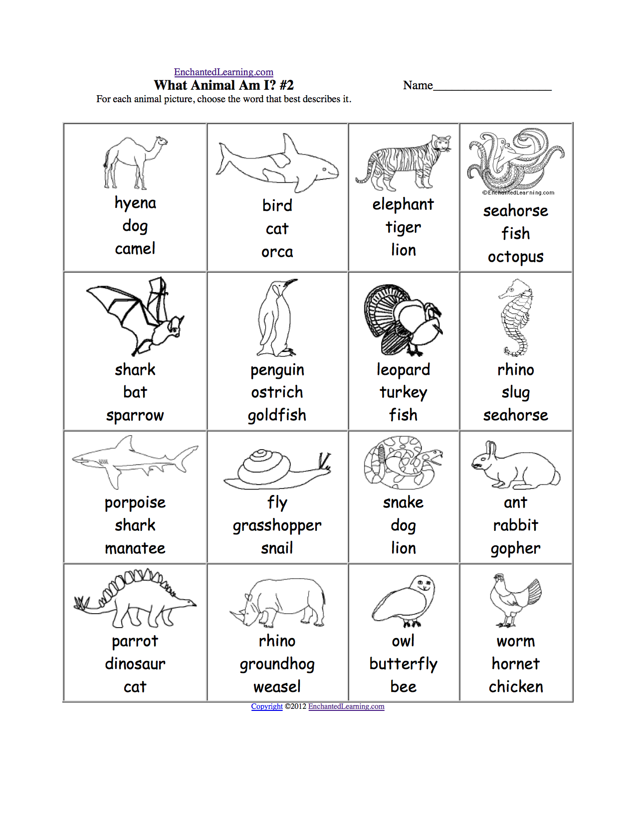 animal worksheet: NEW 263 ANIMAL NEEDS WORKSHEETS 2ND GRADE