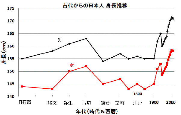 オランダ人 平均身長 推移 312626オランダ人 平均身長 推移