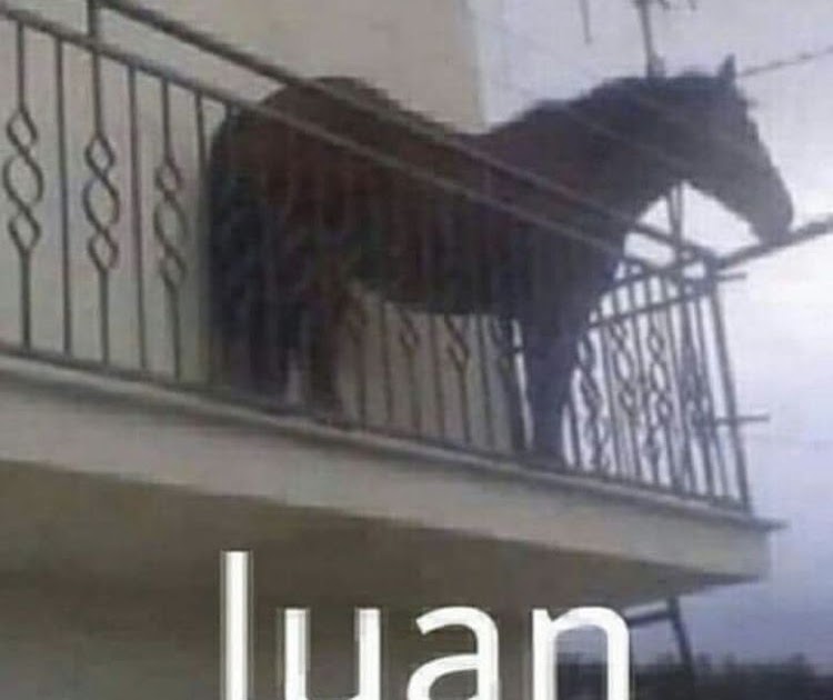 Juan Meme - Music Used