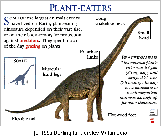 largest brachiosaurus