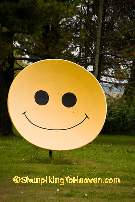 Satellite Dish Smiley Face, Langlade County, Wisconsin