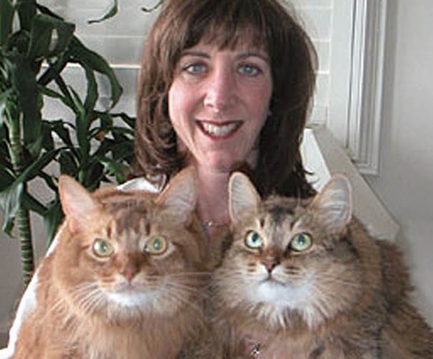Cat Eye Discharge Reddish Brown