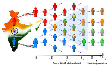 Between 4,000 and 2,000 years ago, intermarriage in India was rampant. Figure by Thangaraj Kumarasamy