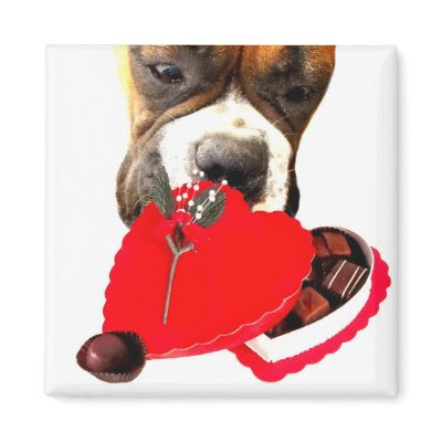 Valentines Day Boxers - Mens Underwear Valentine's Day Boxer with Chocolates Valentines Day Boxers - Mens Underwear Valentine's Day Boxer with Chocolates