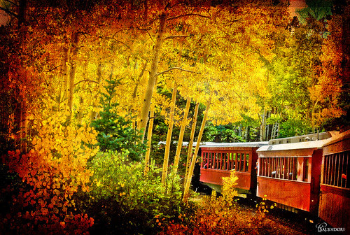 Autumn Train