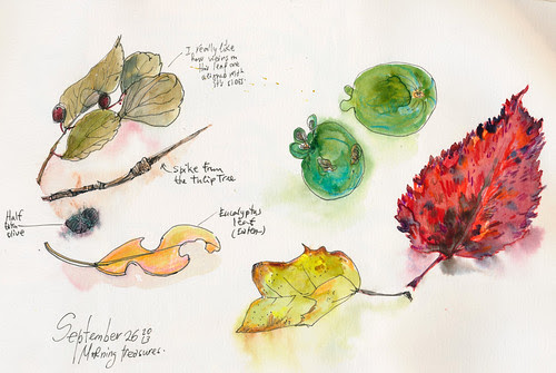 September 2013: Morning Treasures by apple-pine
