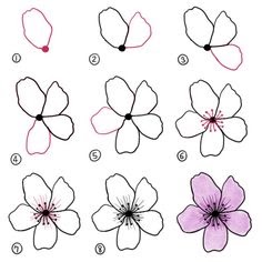 36 Blumen Zeichnen Lernen Schritt Fur Schritt Besten Bilder Von Ausmalbilder