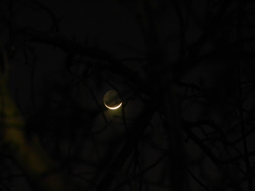 New Moon _ 1537