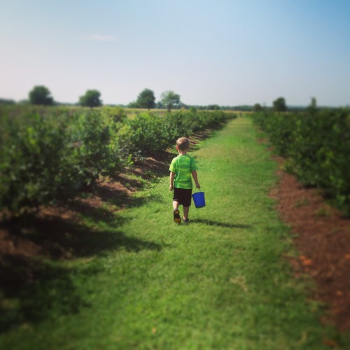 photo-7