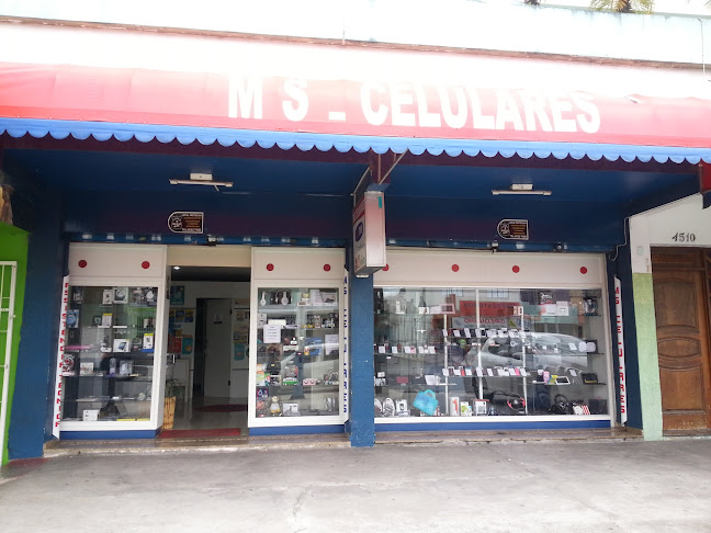 MS Celulares