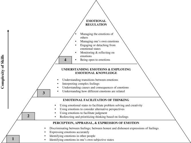 Recreation Therapy Ideas: Emotional Regulation