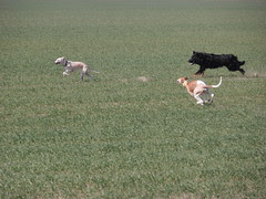 P3250328
