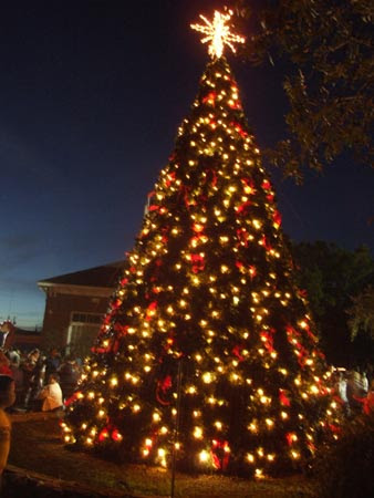DSCF3637.jpg