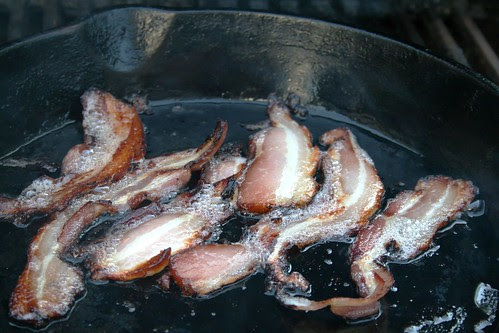 Bacon