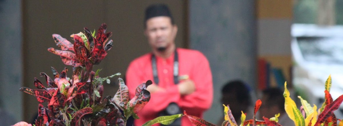 Soalan Novel Meniti Impian - Terengganu s