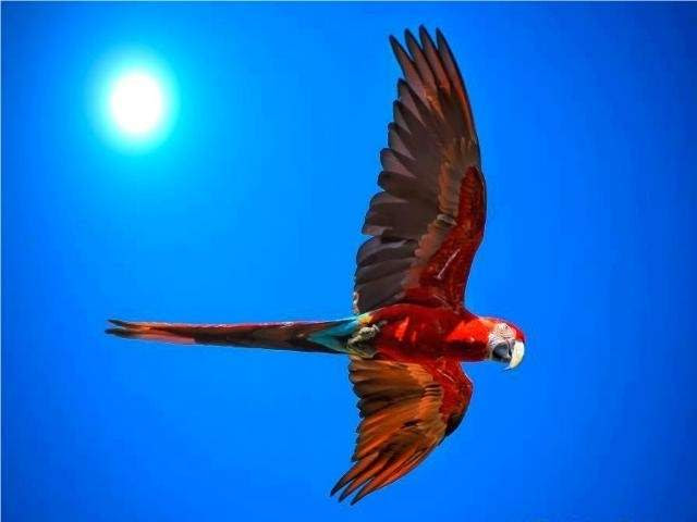 Shangrala's God's Most Beautiful!