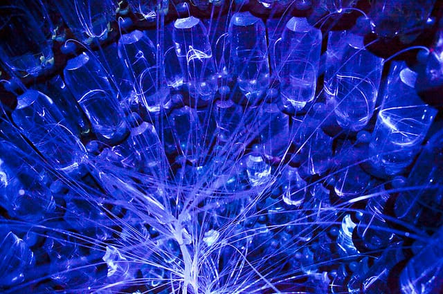 New Brunce Munro Light Exhibition at Longwood Gardens New Brunce Munro Light Exhibition at Longwood Gardens light installation