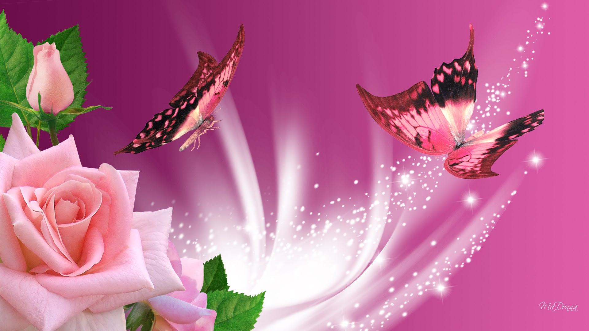 Pink Butterfly Wallpaper Desktop - WallpaperSafari