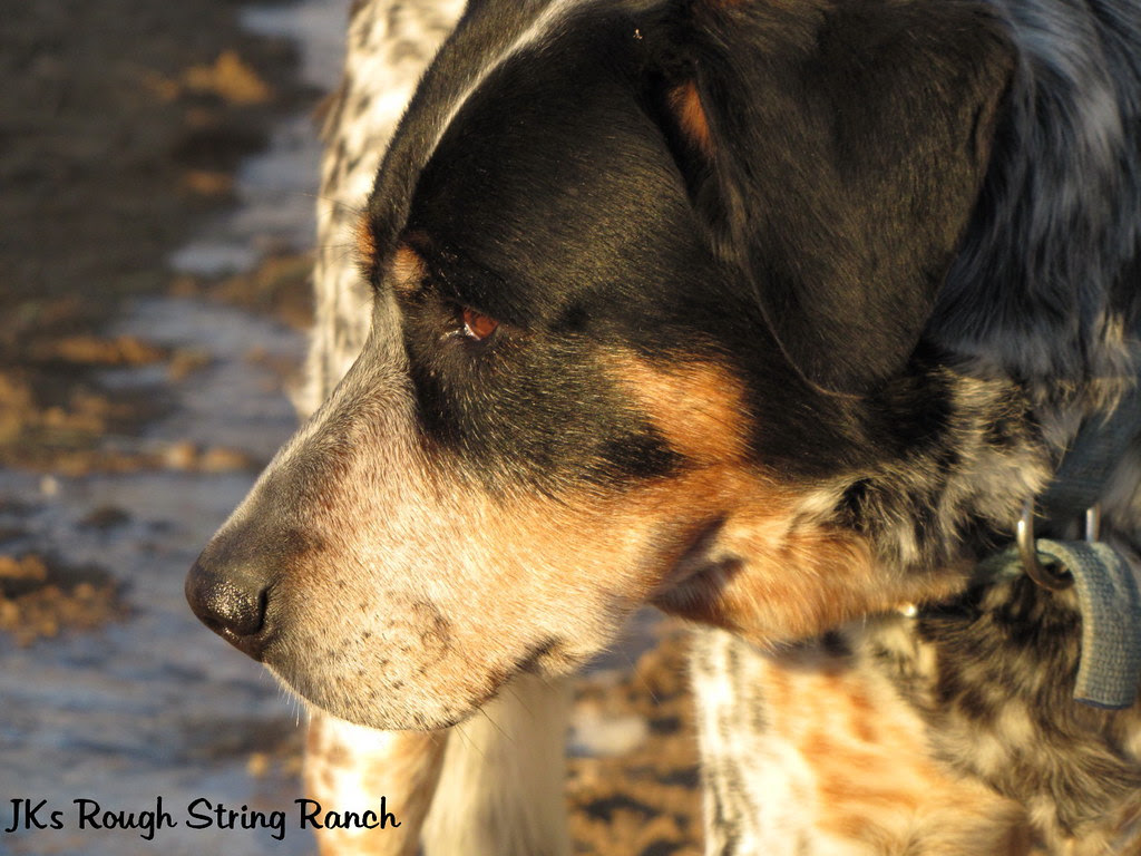 Deep in Thought