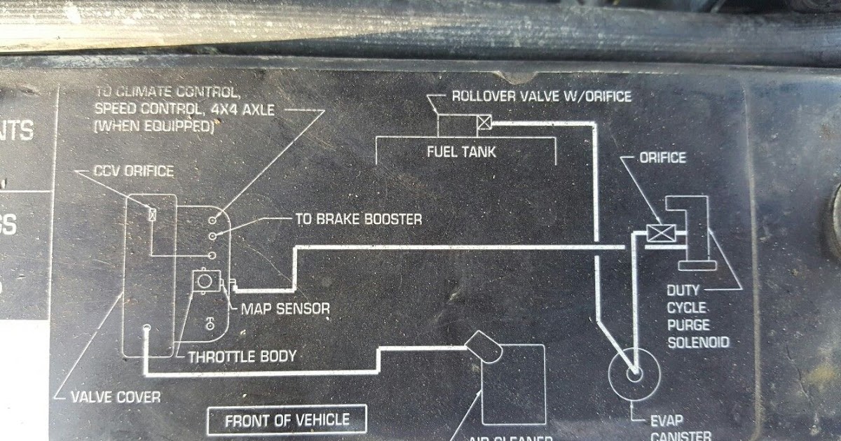 Jeep Wrangler Evap System Diagram - Hanenhuusholli