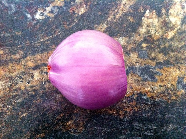 Large Shallot