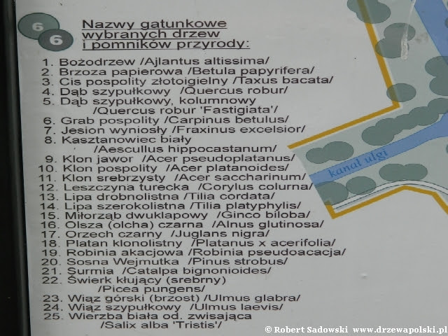 tablica w Parku Dittricha tablica w Parku Dittricha