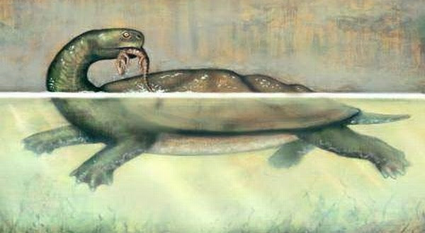 http://img.okezone.com/content/2012/05/18/56/631628/GSyYj9blB9.jpg