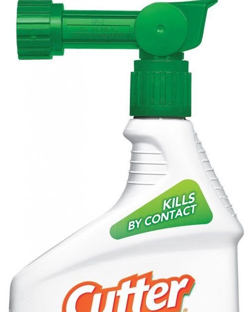 Best Mosquito Repellent For Backyard - BACKYARD HOME
