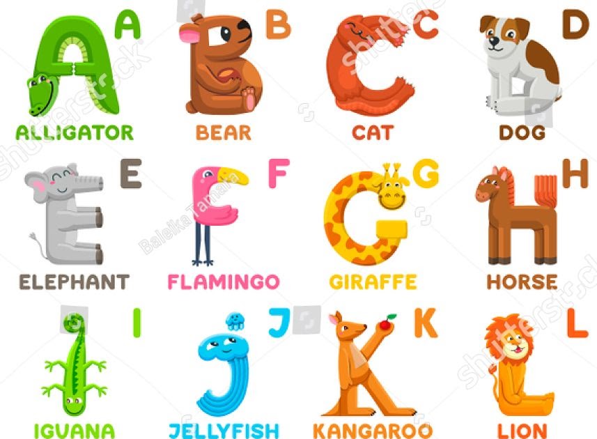 A To Z Animals Names - Guru Home
