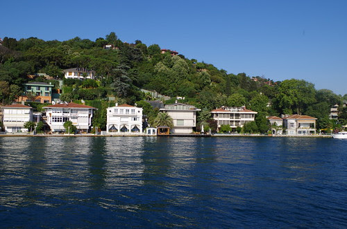 IMGP2203