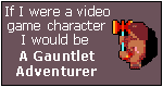 What Video Game Character Are You? I am a Gauntlet Adventurer.