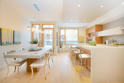 Love the light fixture over the dining table, can you tell me ...