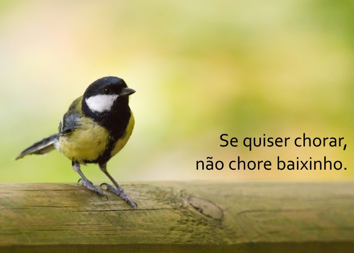 Os Segredos da Idade