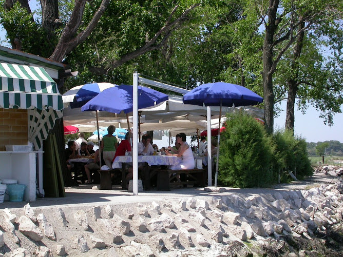 Escursioni in Laguna TAXXXIBOAT