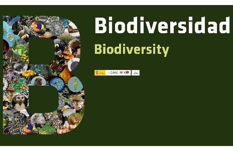 Imagen Biodiversidad