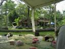 tenda.jpg