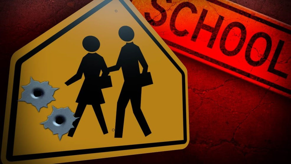 Image result for school shootings