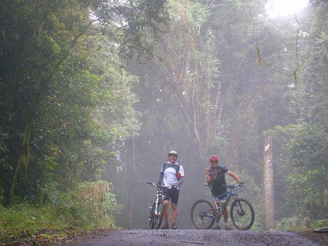 Resting in the Mist