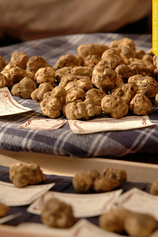 savigno tartufo