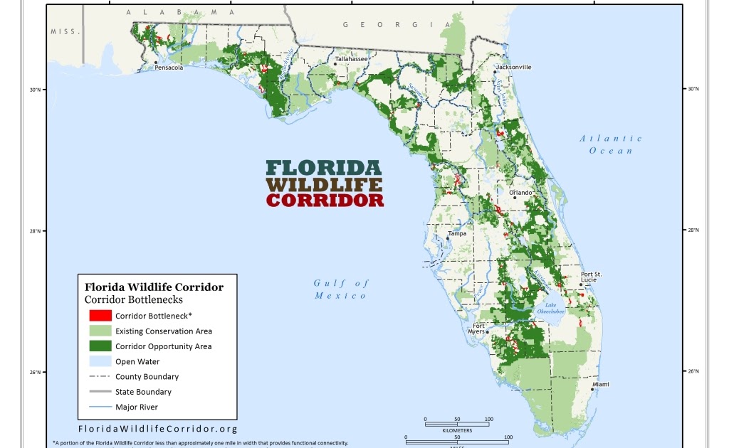 Florida Panthers Location Map Florida Map(03)