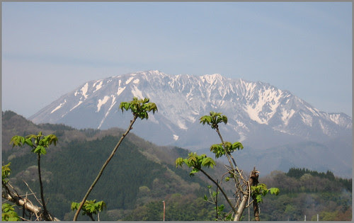 105 spring and Mount Daisen