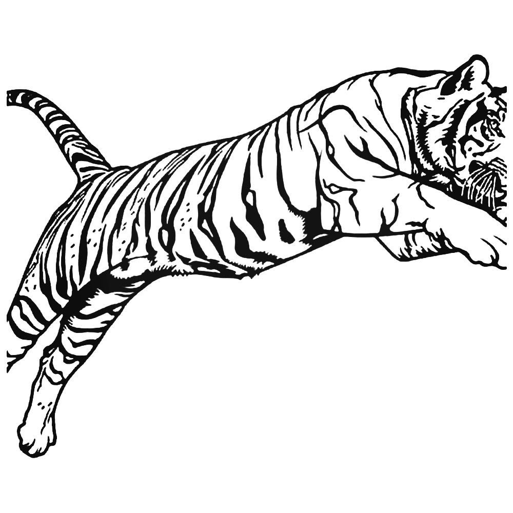 Transhu: Simple Tiger Face Drawing Tattoo