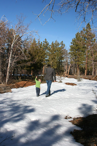 snow_walk