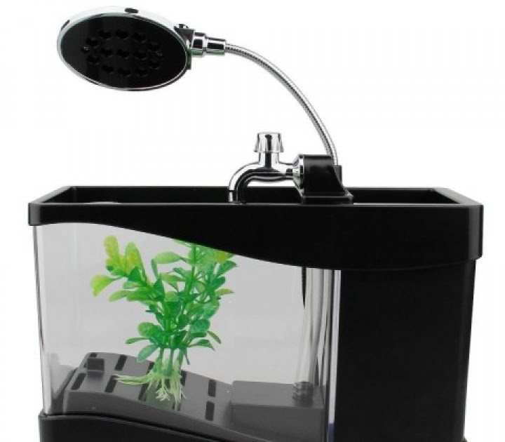 Aquarium Paralon Unik Aquarium Unik dari Paralon Bekas Aquarium